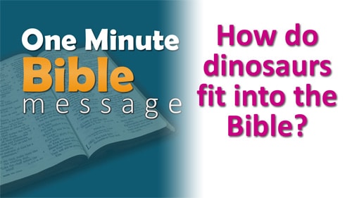 How do dinosaurs fit into the Bible?