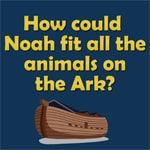 How could Noah fit all the animals on the Ark?