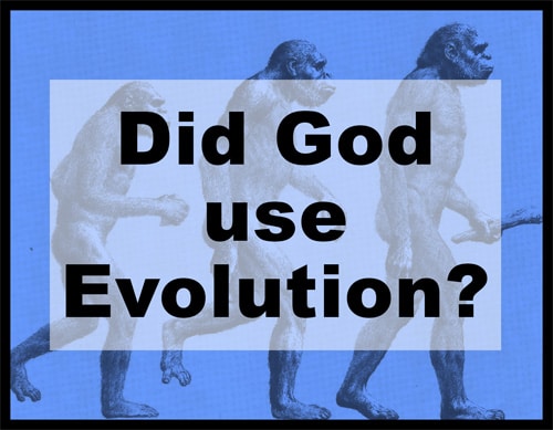 Did God use Evolution?